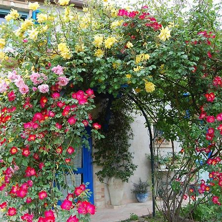 B&B Vento Di Rose Monterubbiano Exterior photo