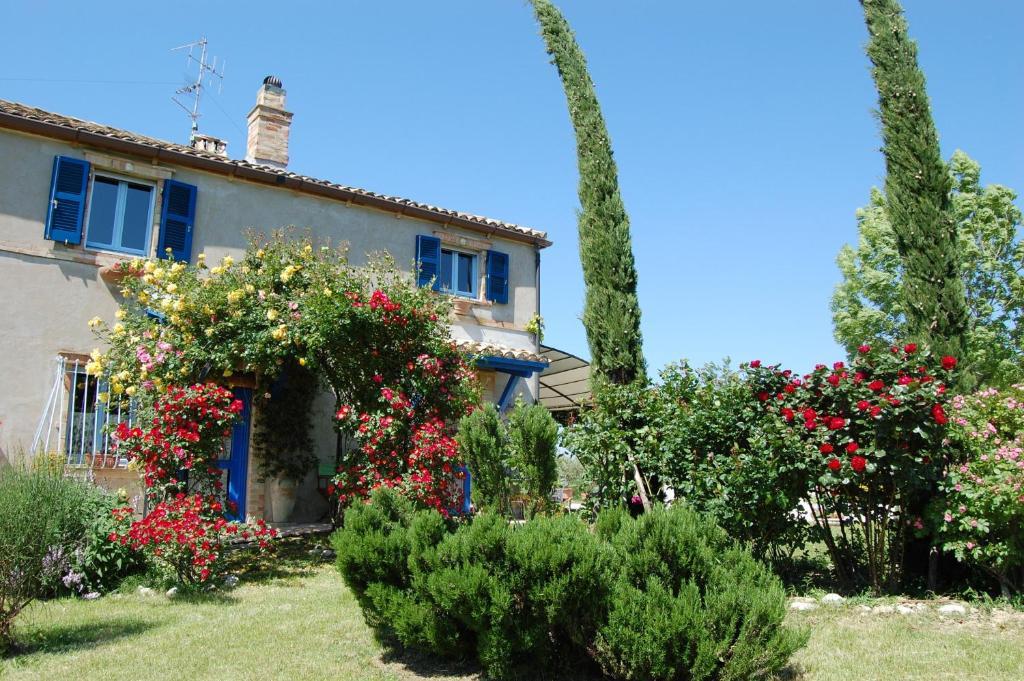 B&B Vento Di Rose Monterubbiano Exterior photo